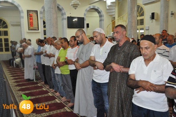 tarawe7 nozhas j (23).JPG